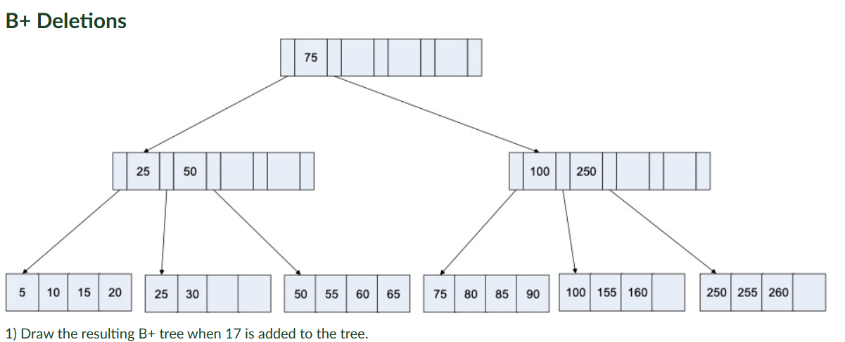 1) Draw the resulting B+ tree when 17 is | StudyX