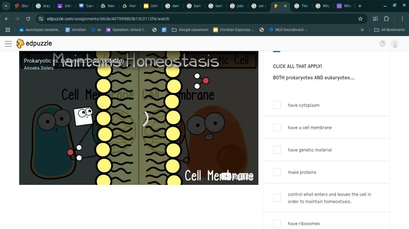 CLICK ALL THAT APPLY! BOTH prokaryotes AND | StudyX