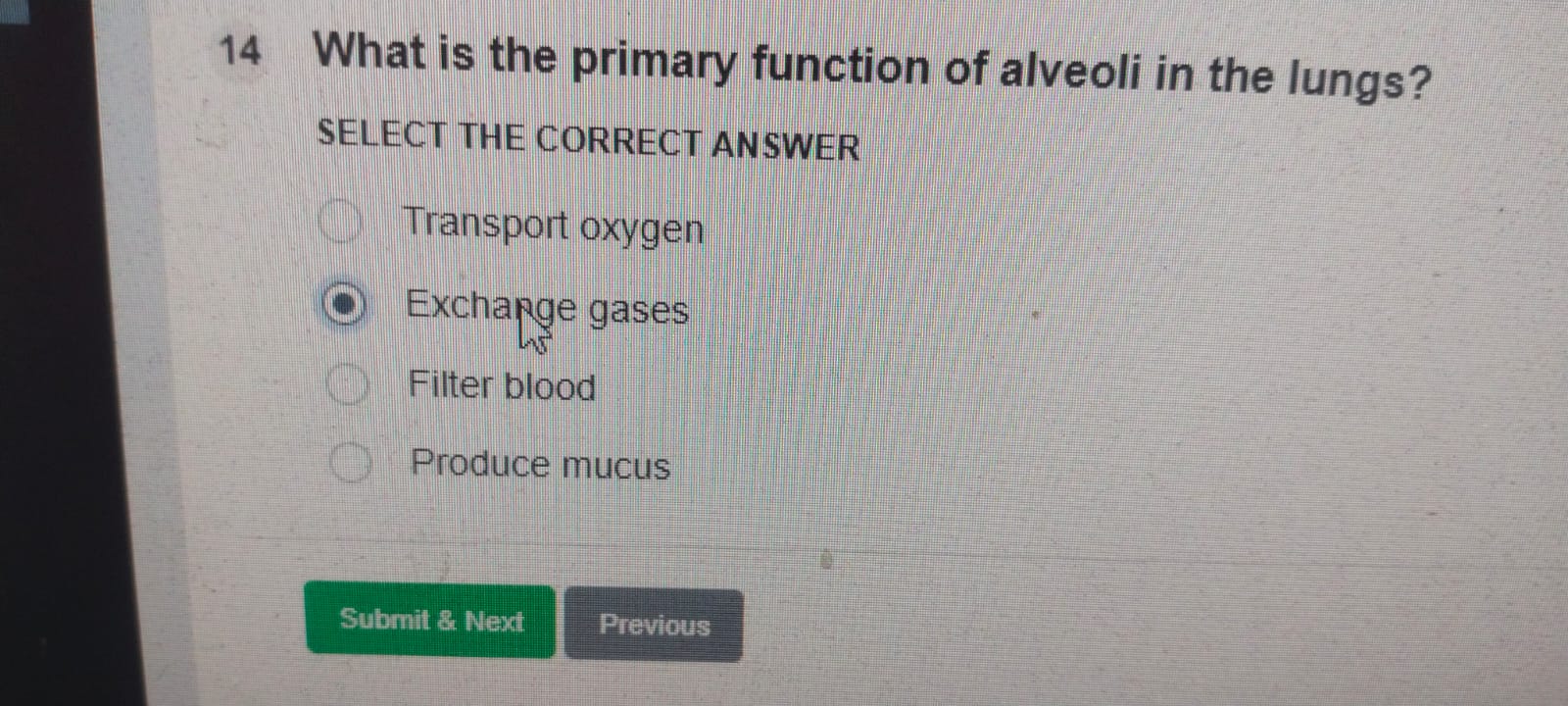 14 What is the primary function of alveoli