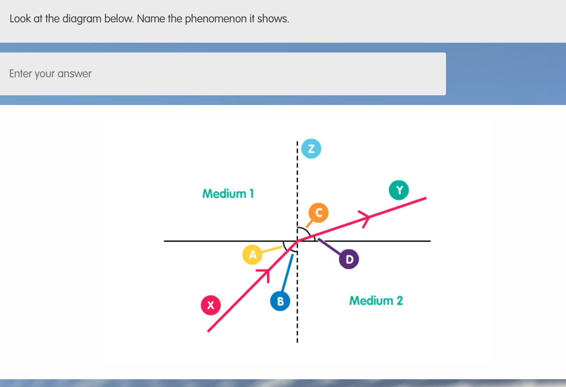 Look at the diagram below. Name the | StudyX