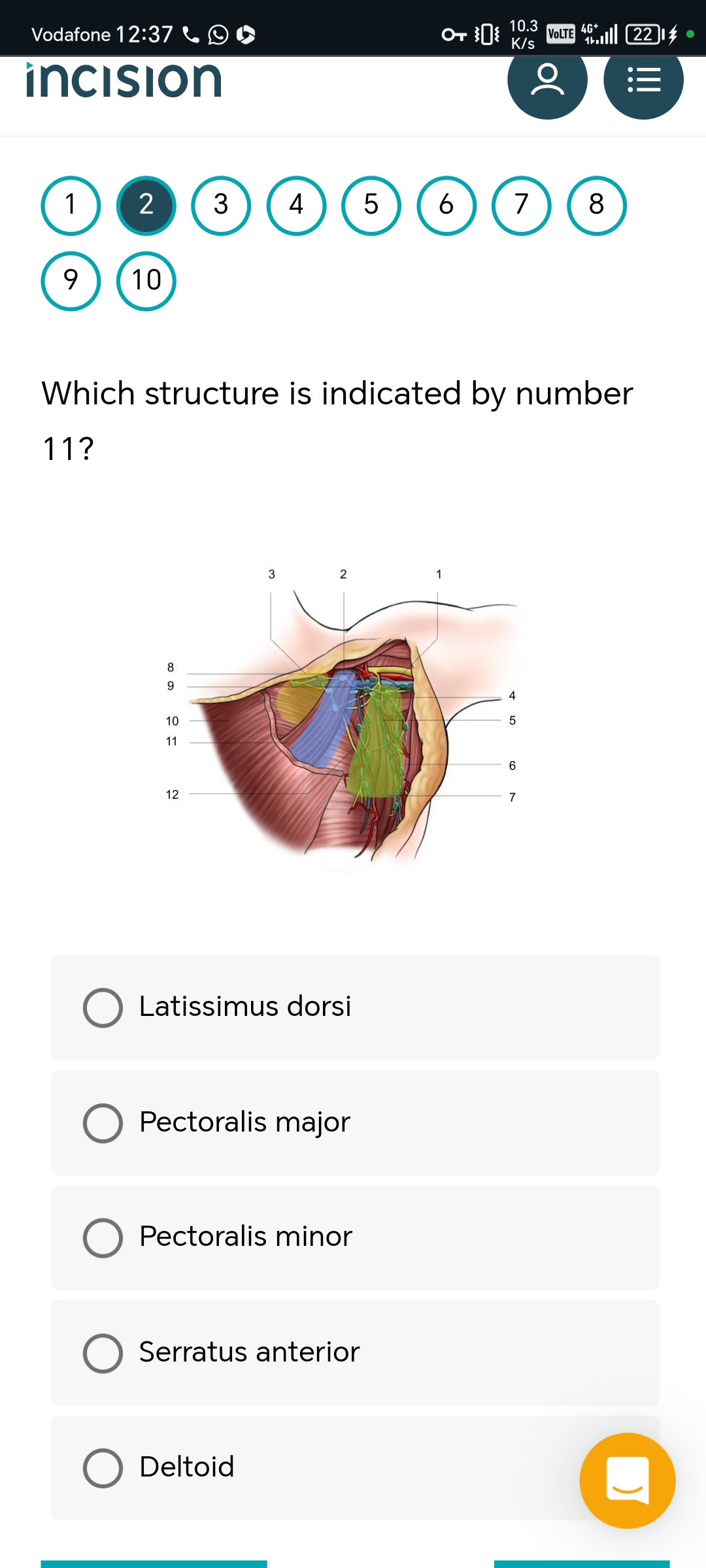 studyx-img