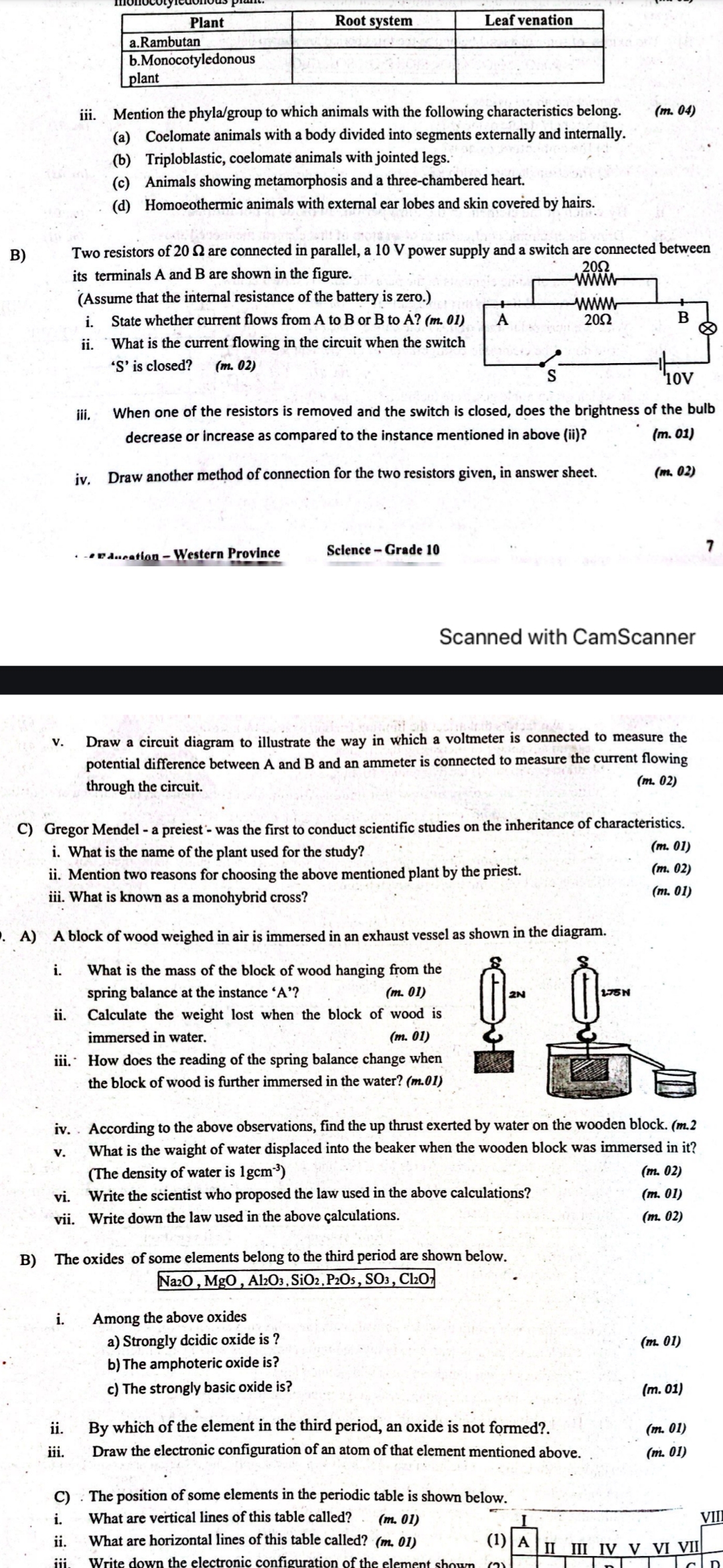 studyx-img