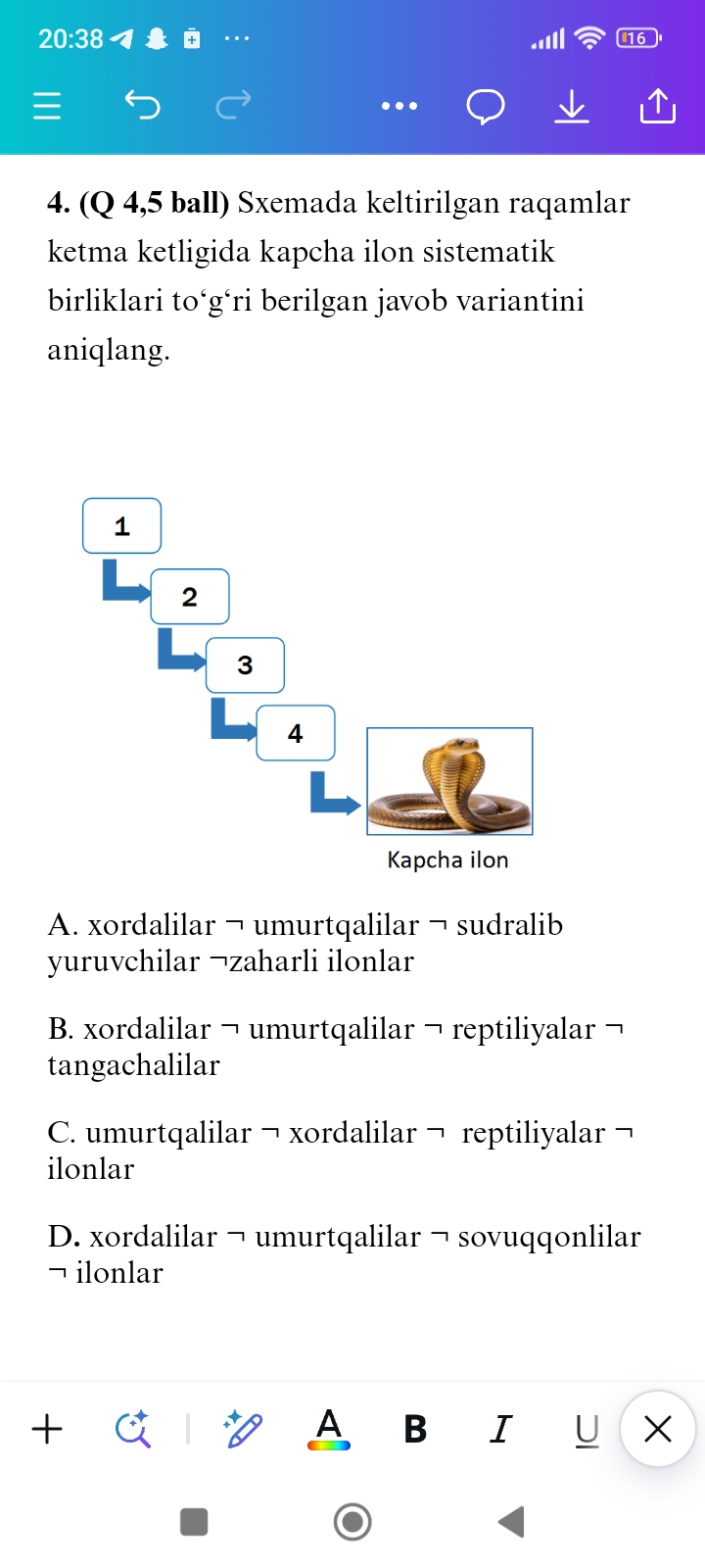 studyx-img