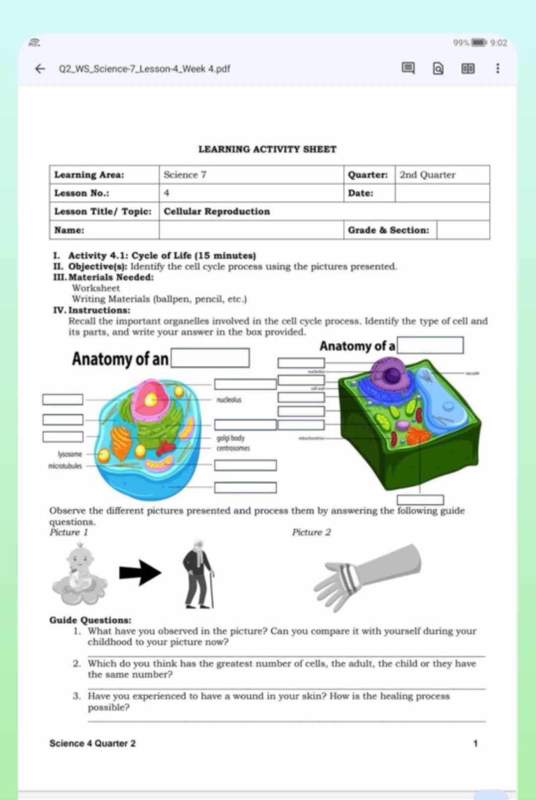 studyx-img