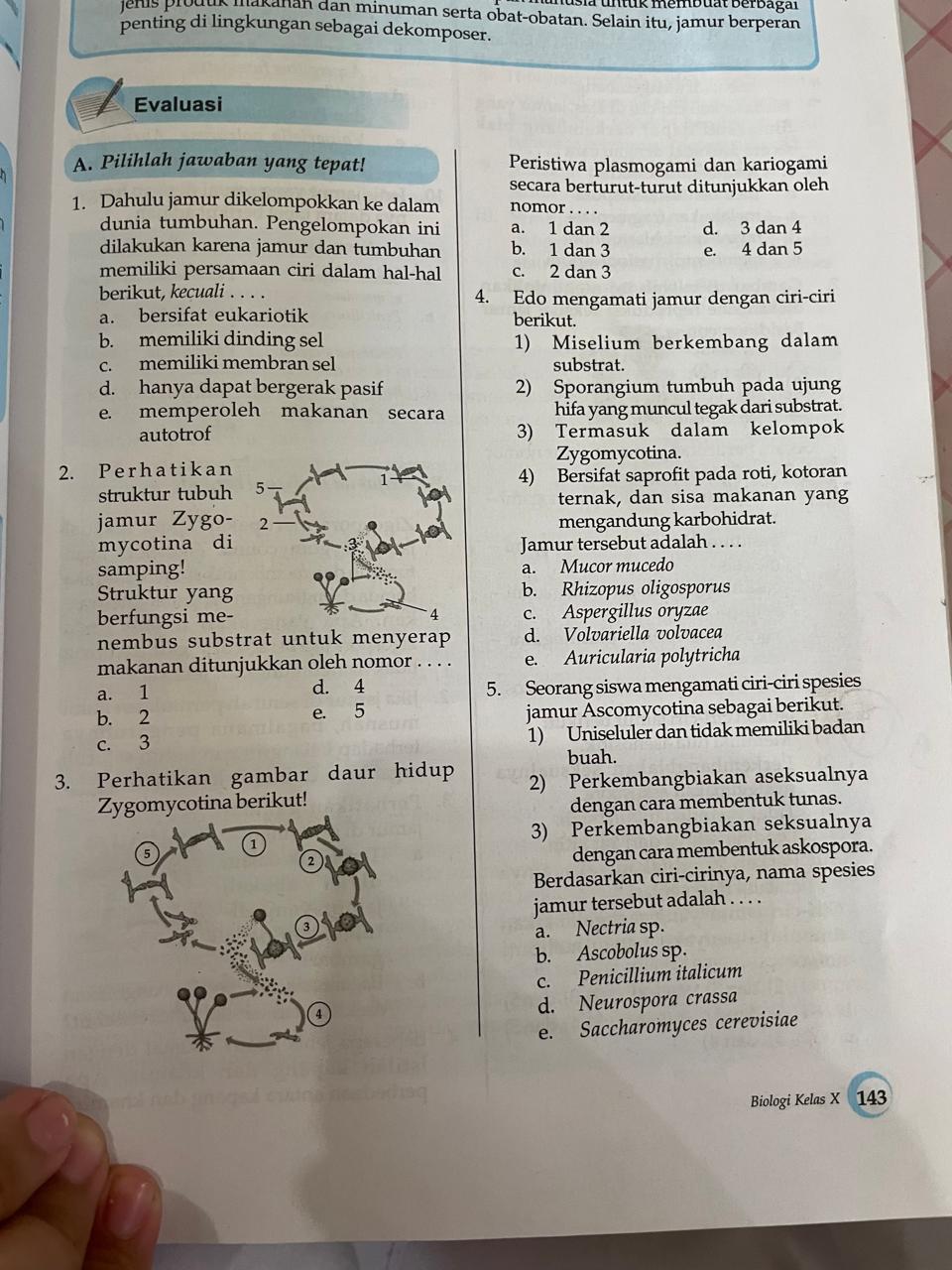 studyx-img