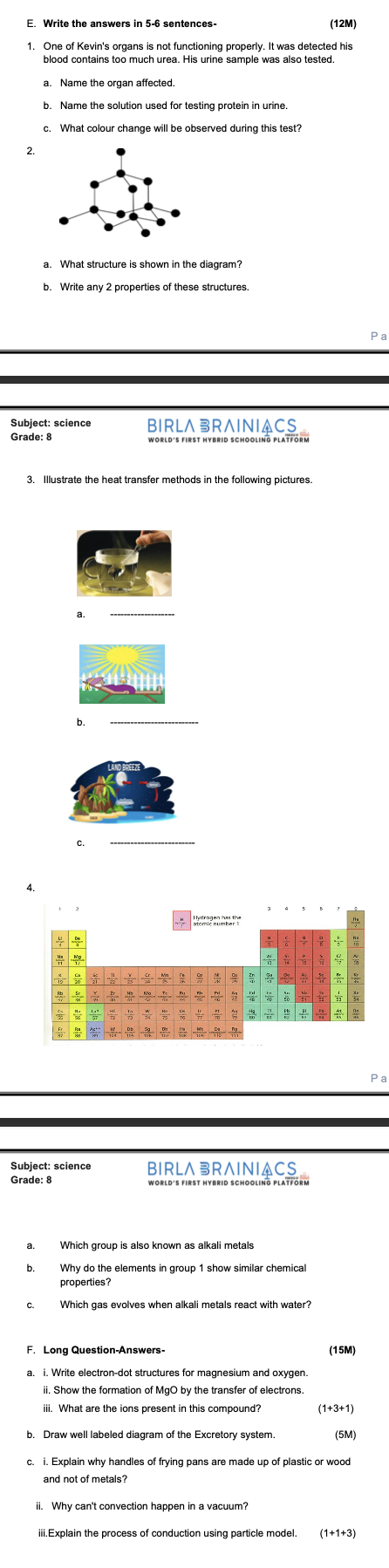 studyx-img