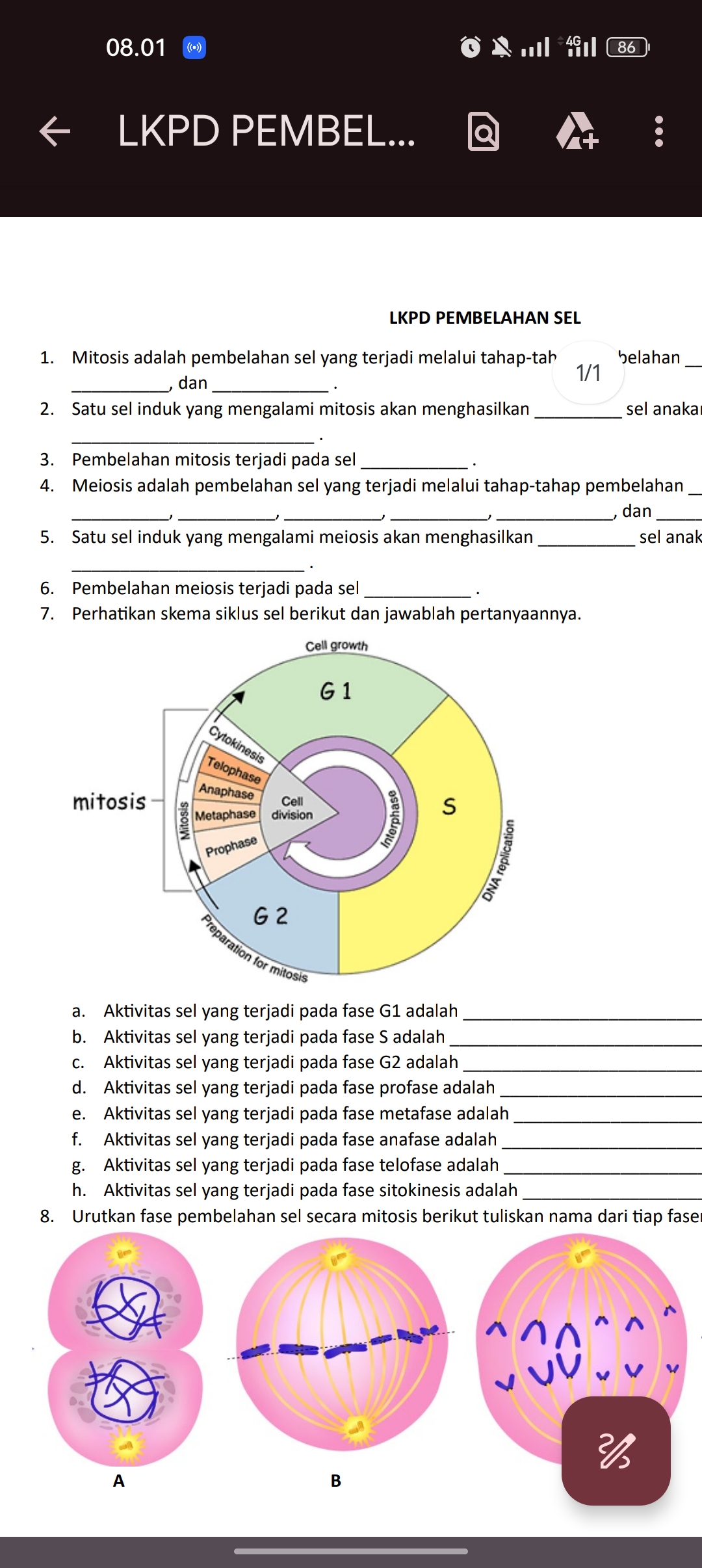 studyx-img