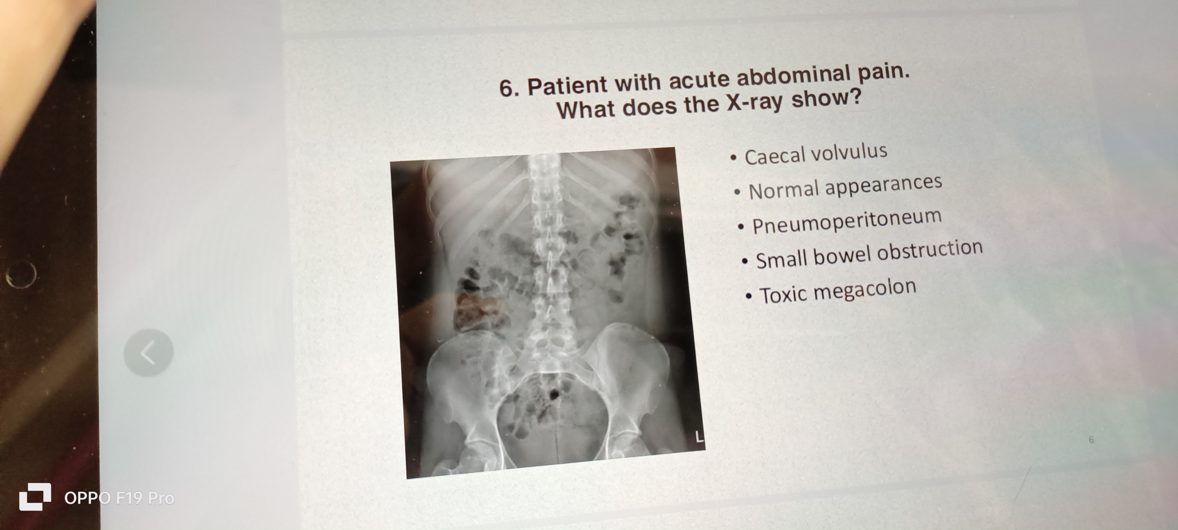 studyx-img