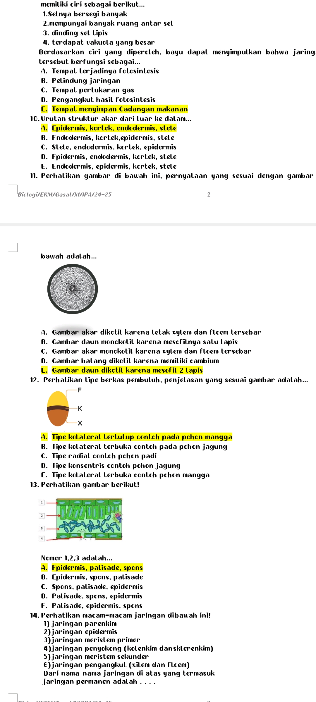 studyx-img