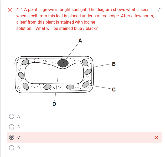 studyx-img