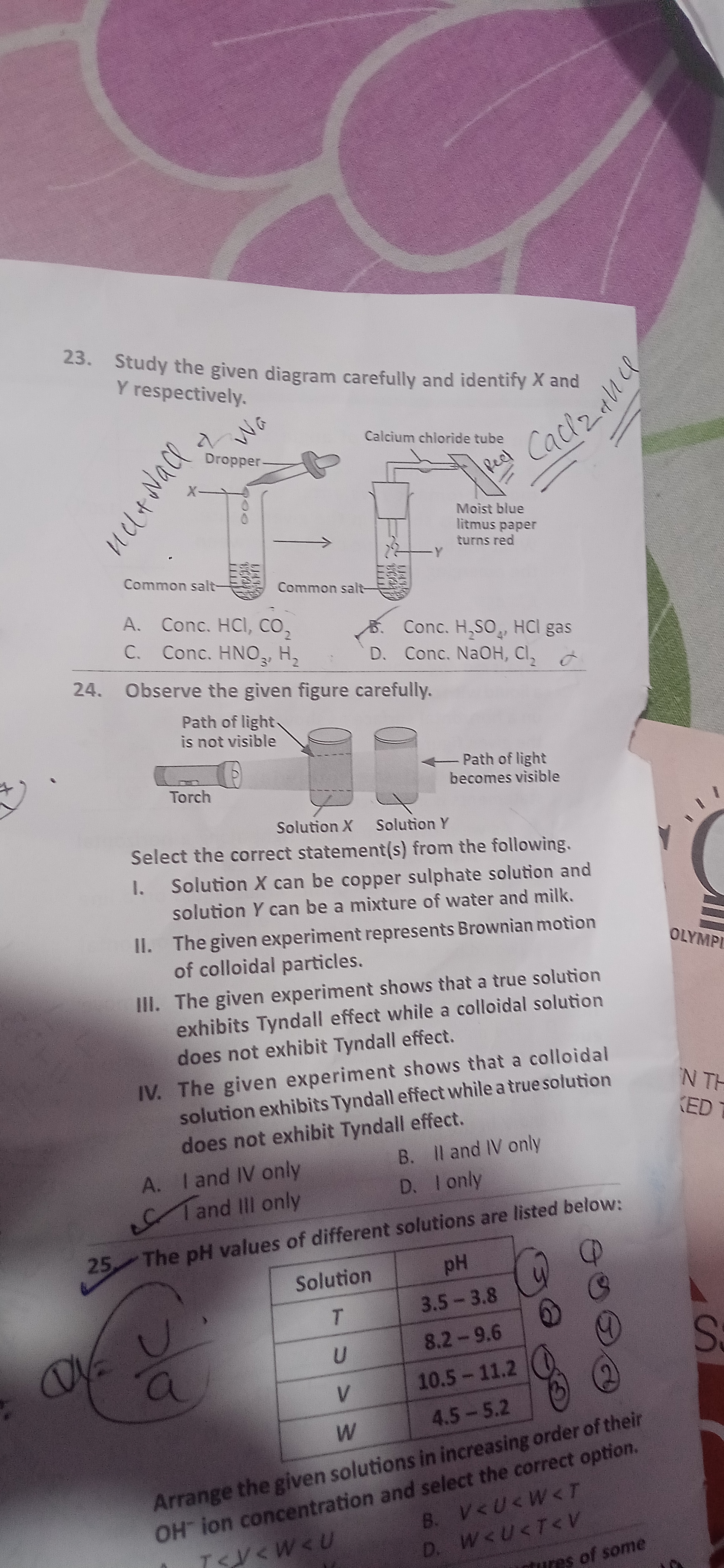 studyx-img