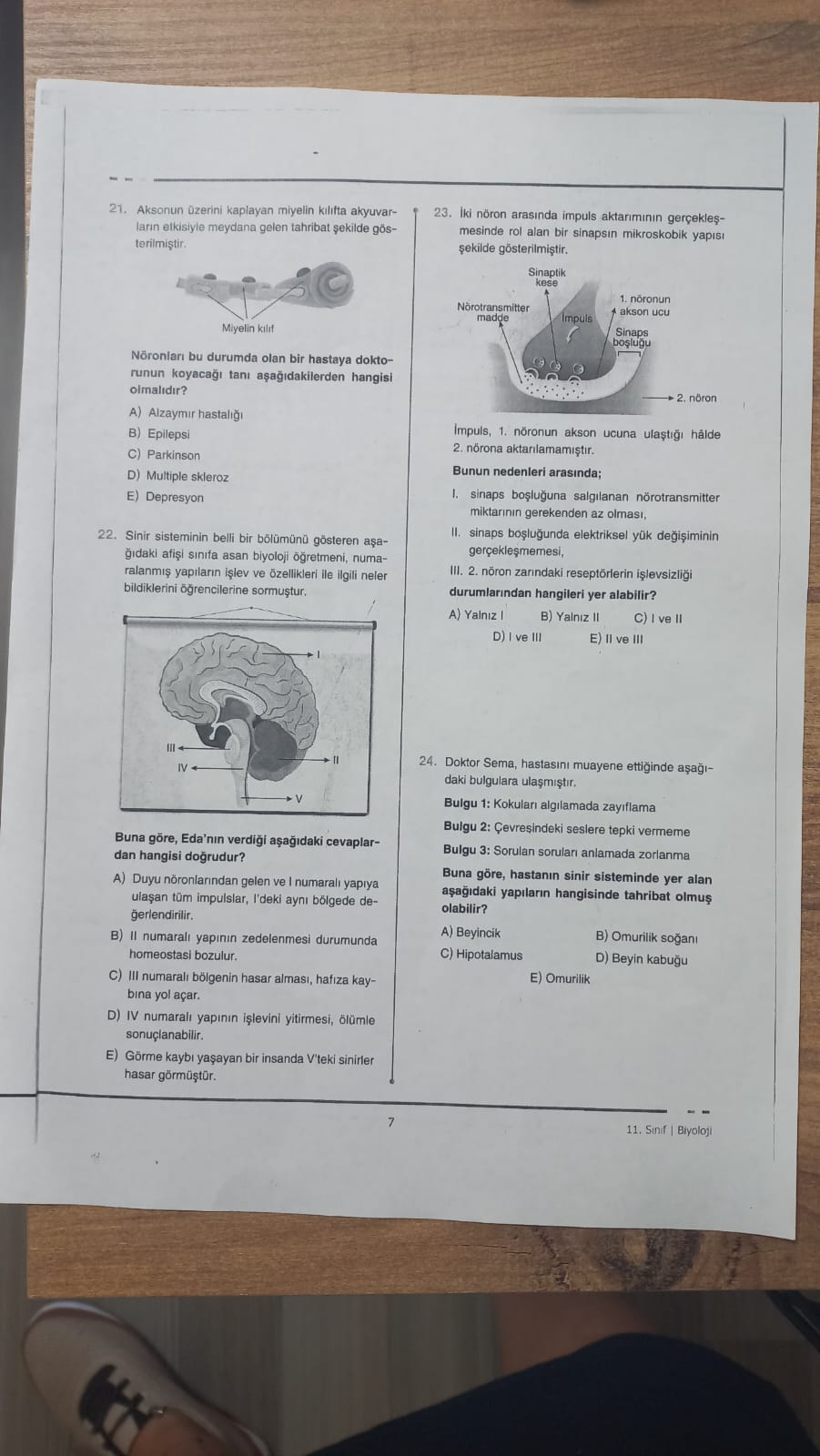 studyx-img