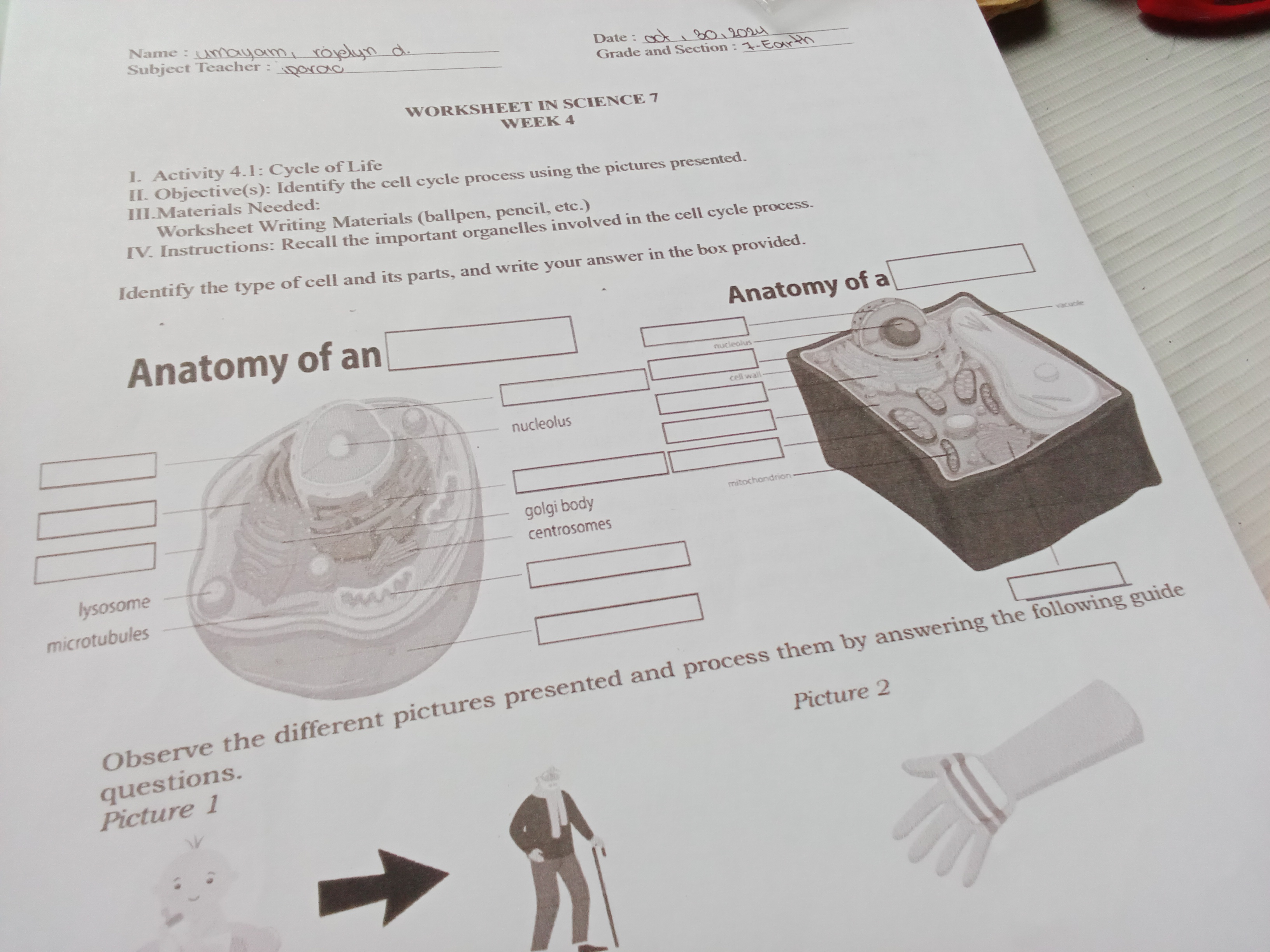 studyx-img