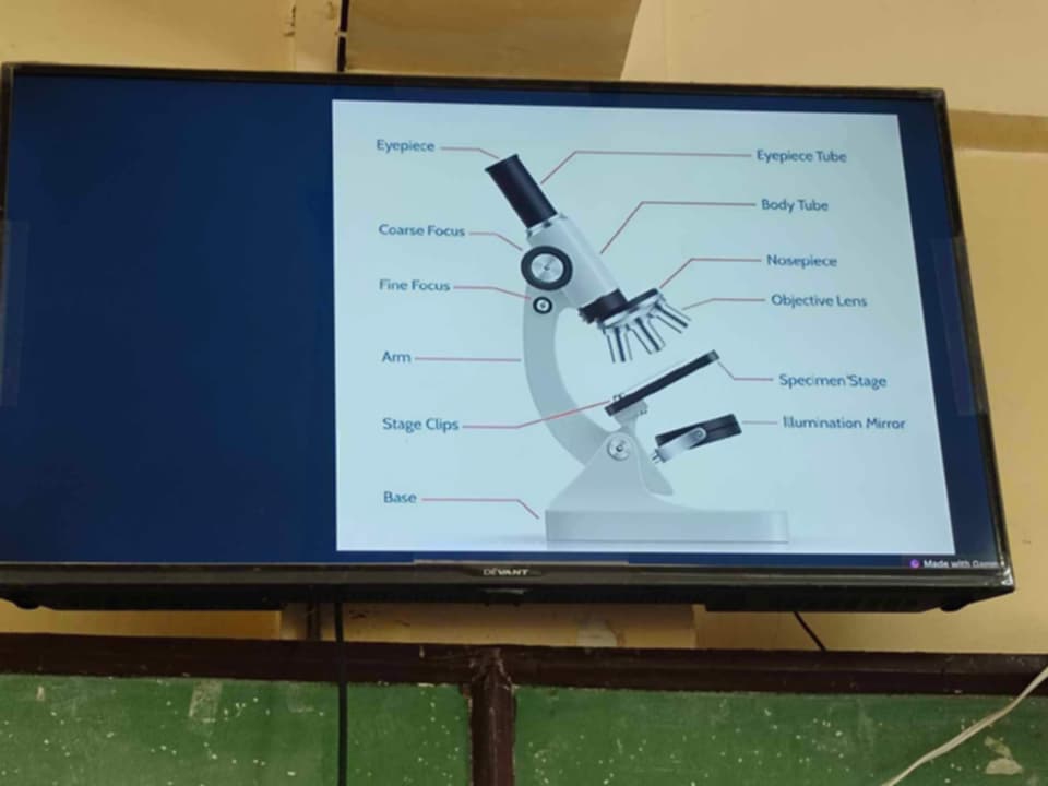 studyx-img