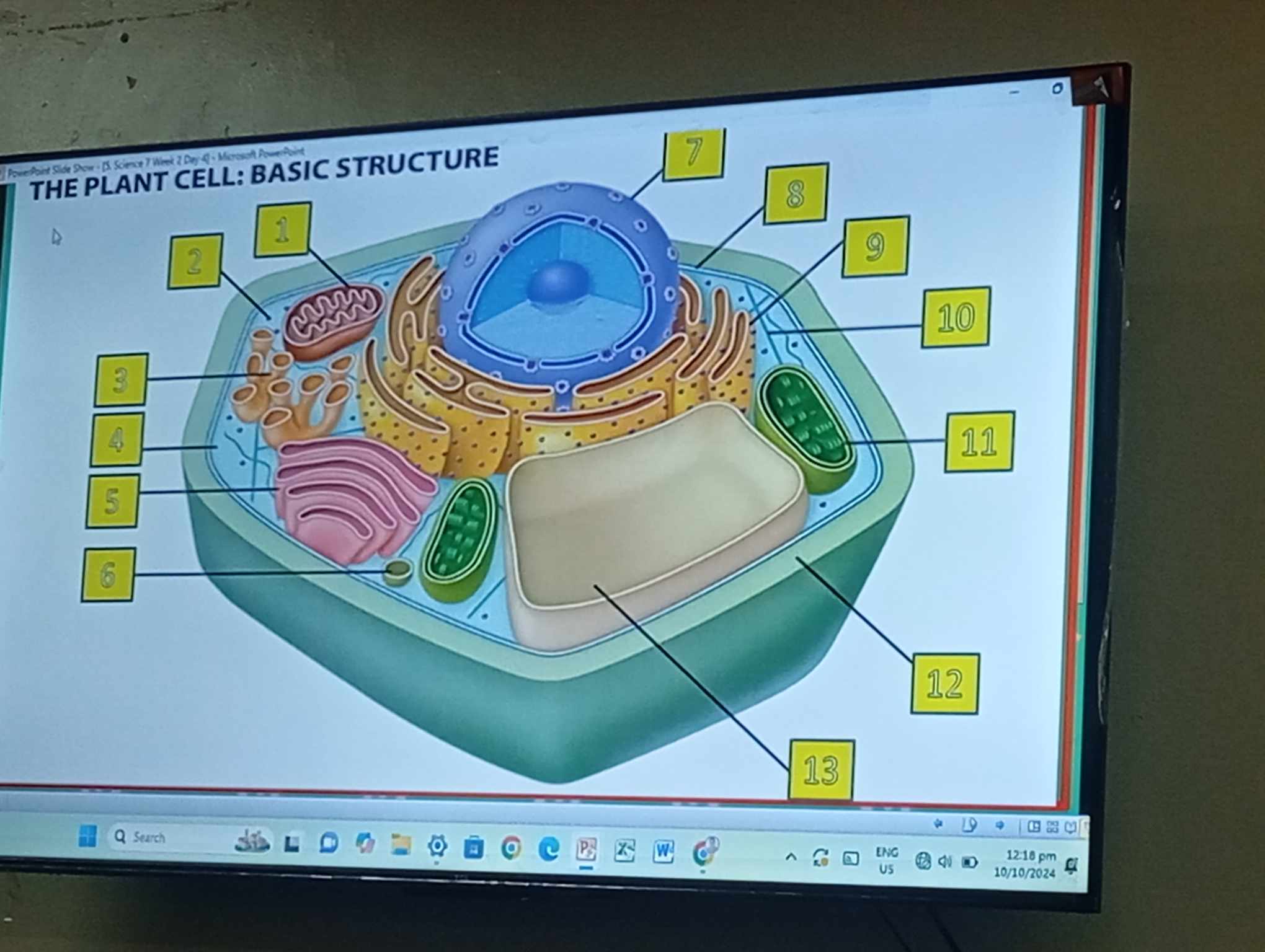 studyx-img