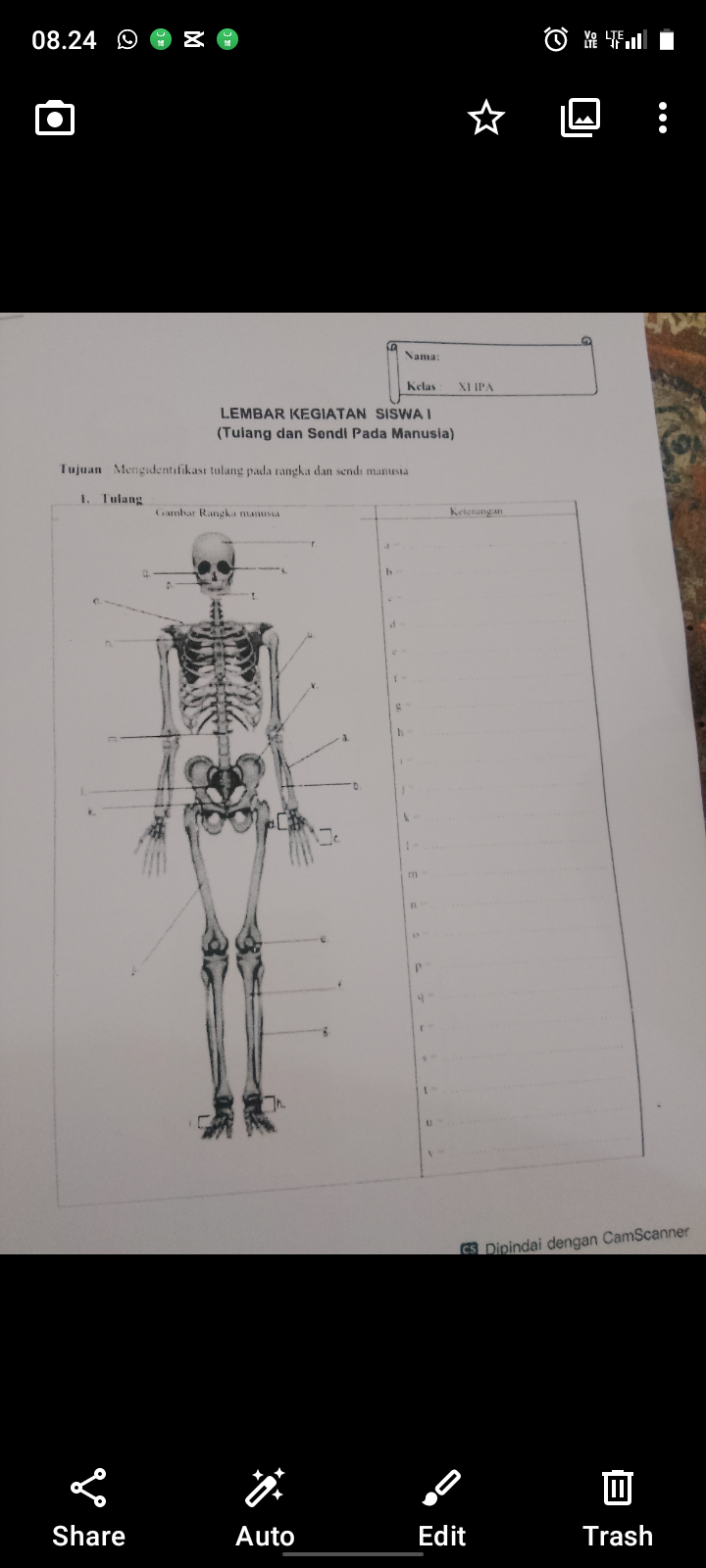 studyx-img