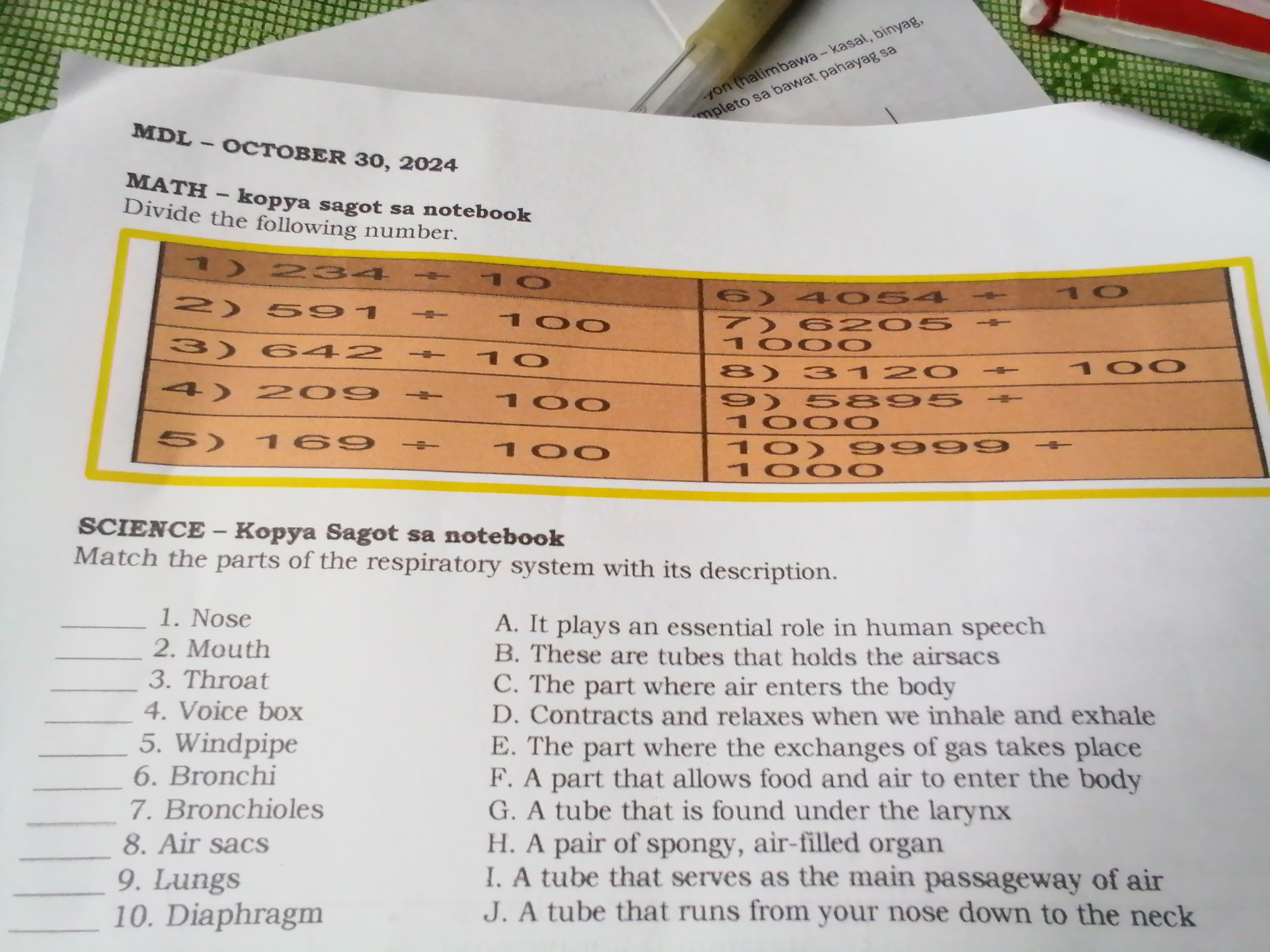 studyx-img