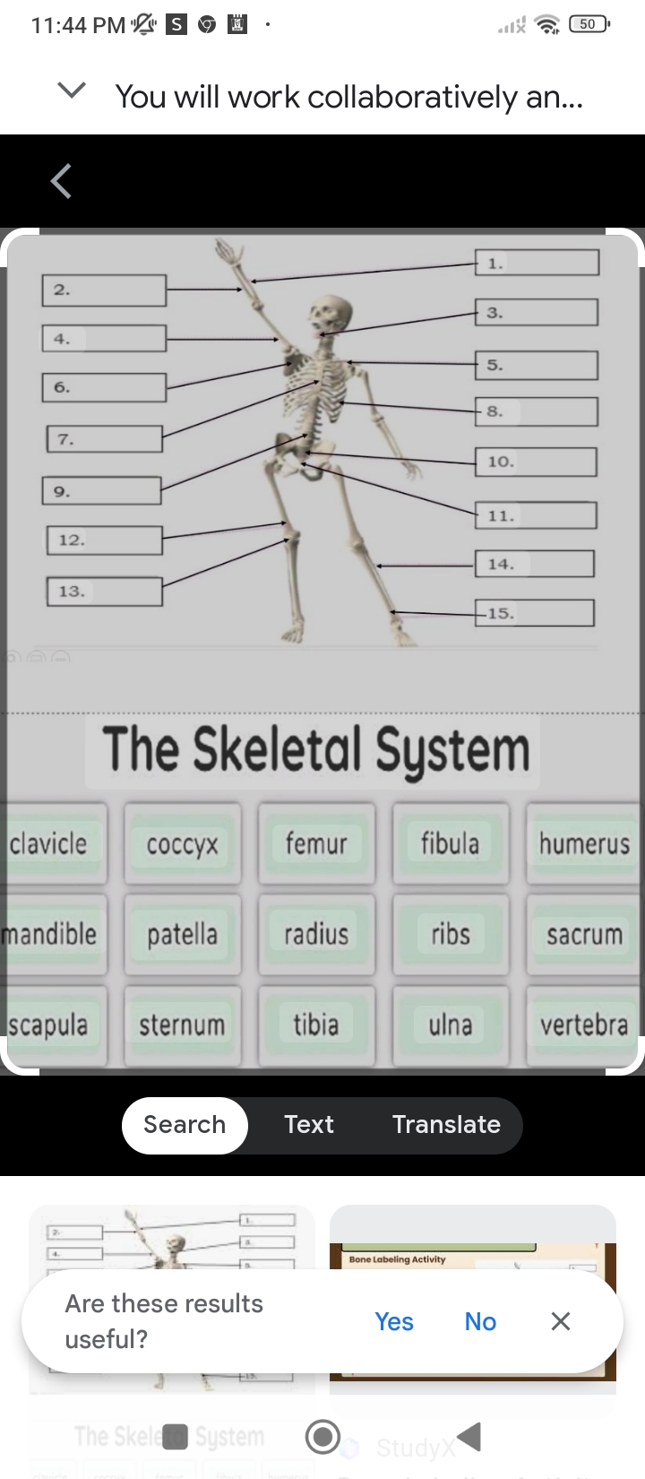 studyx-img