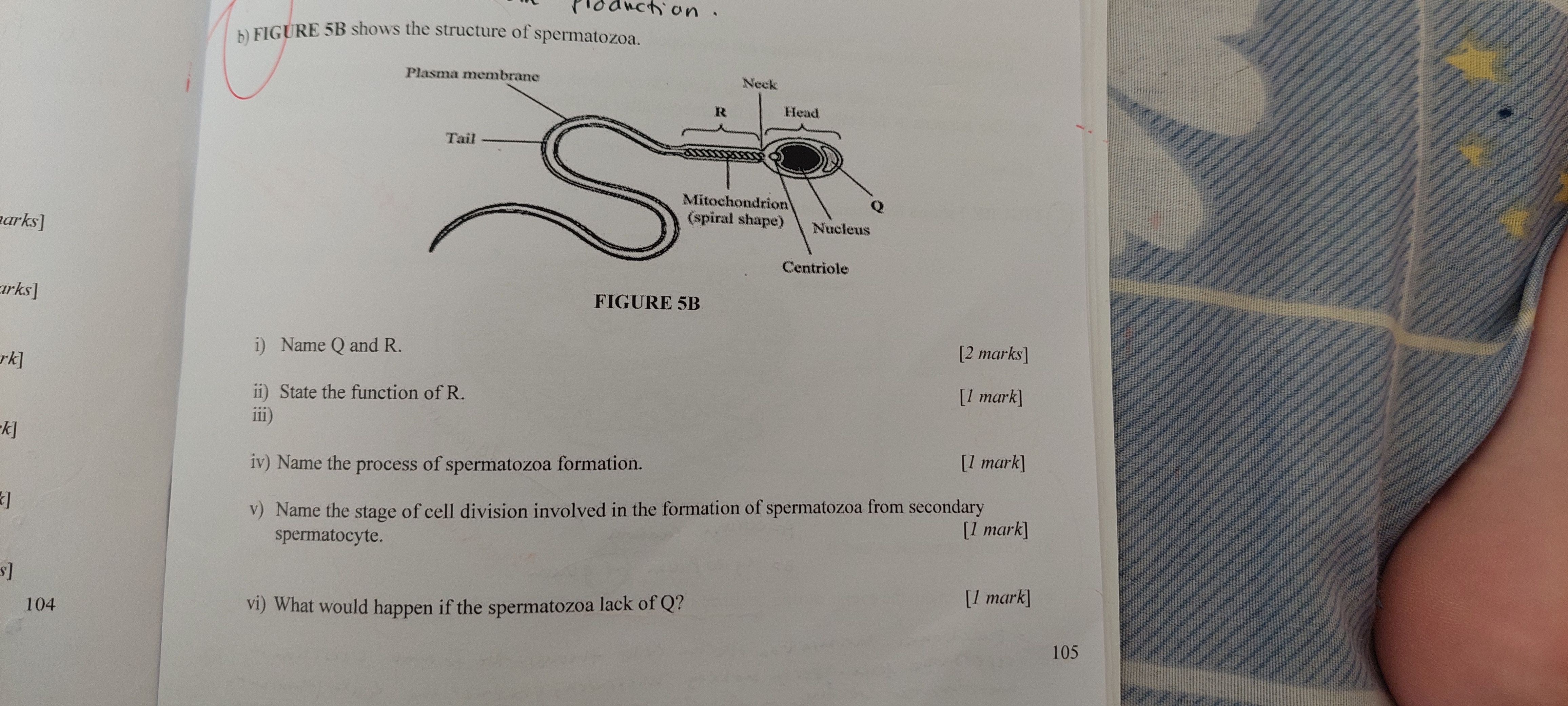 studyx-img