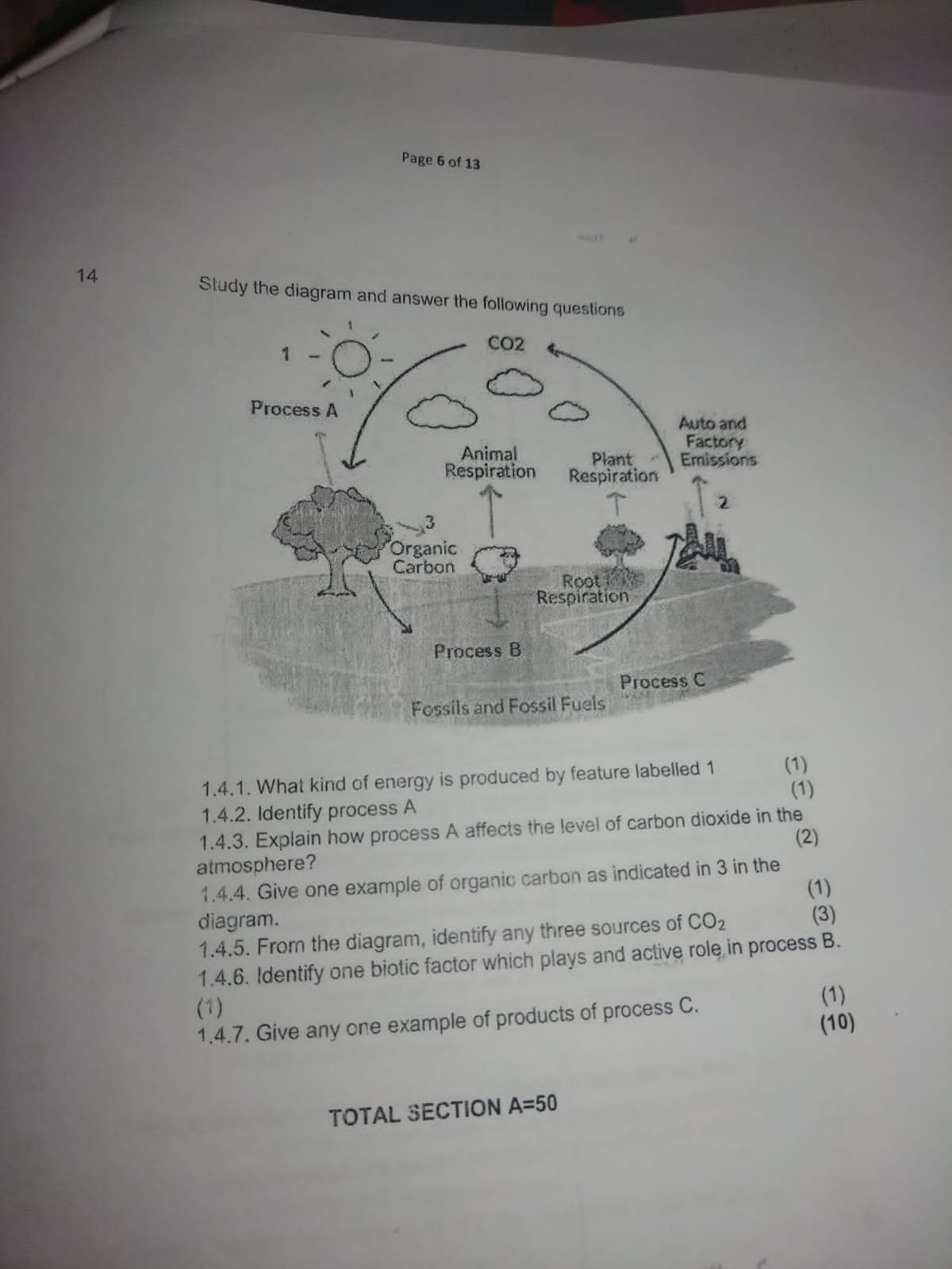 studyx-img