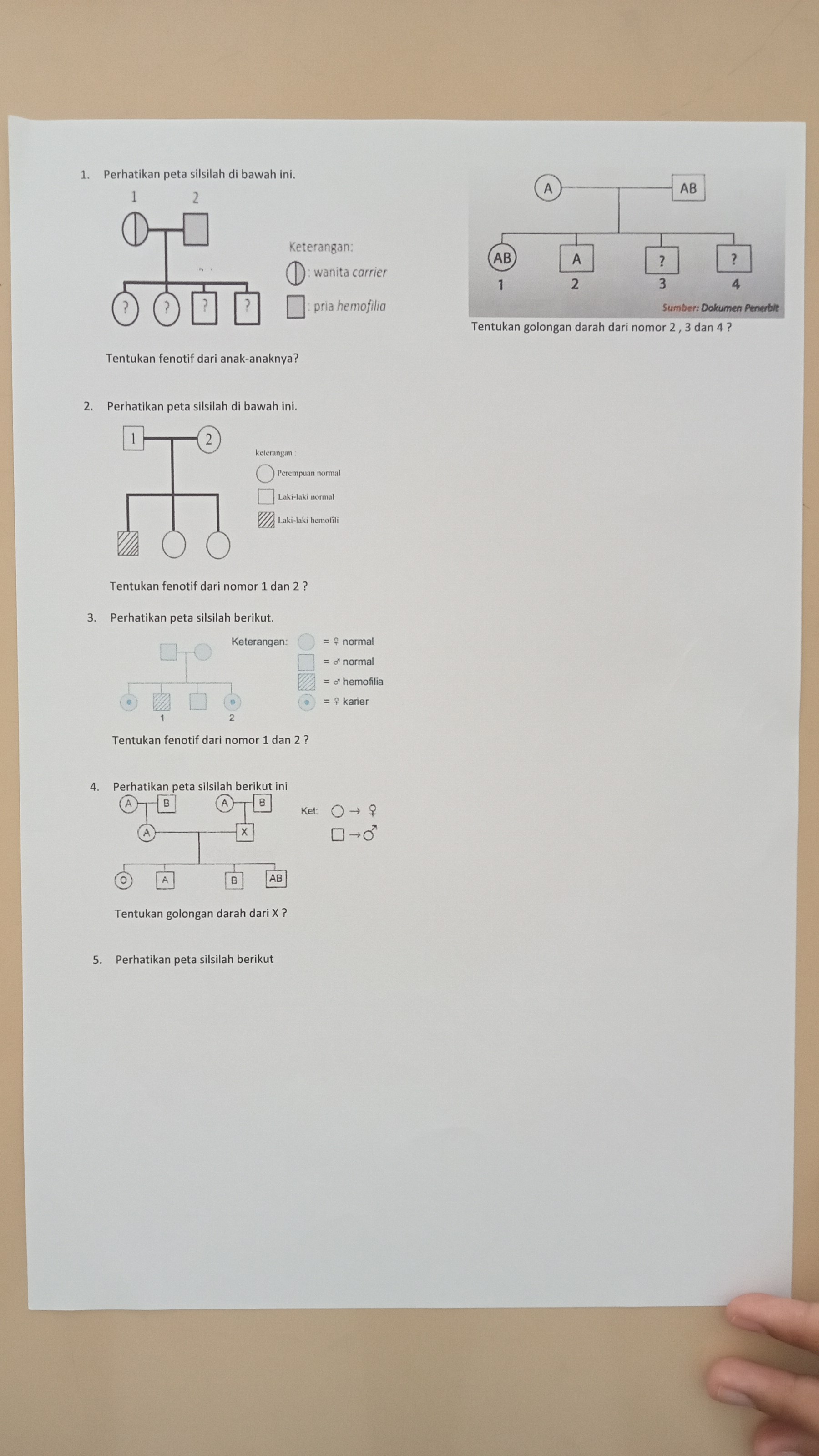 studyx-img