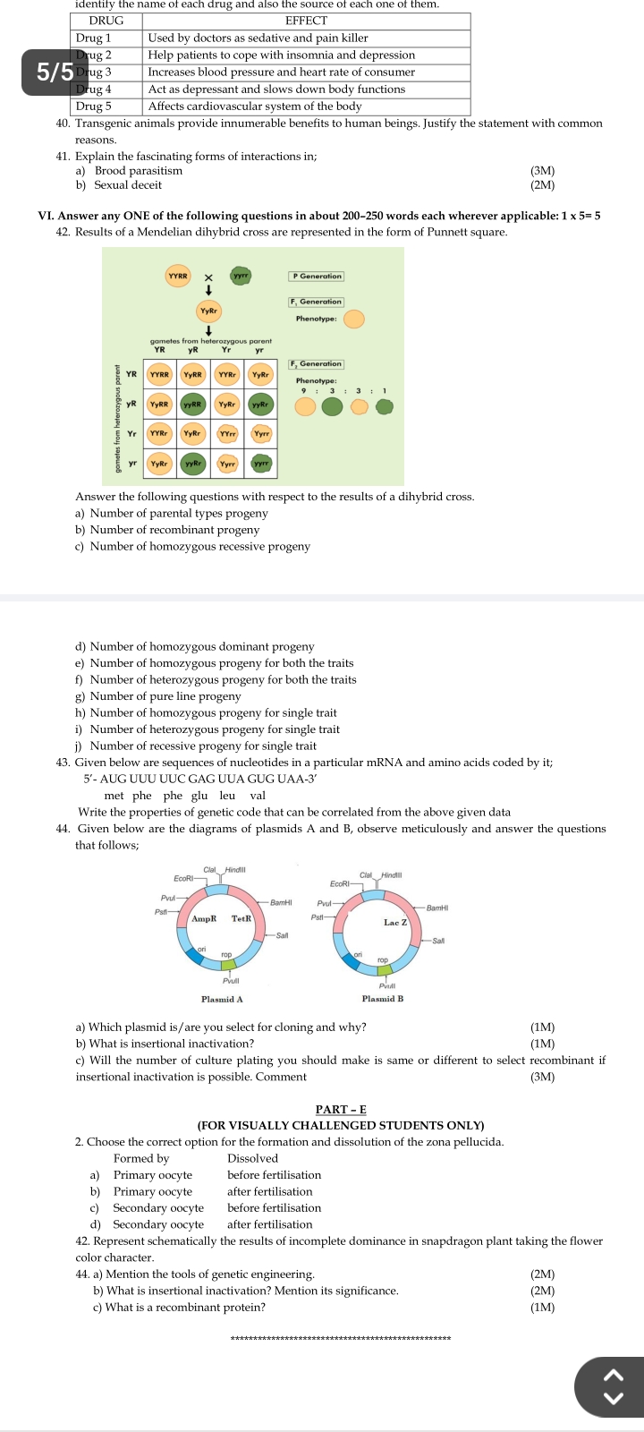 studyx-img