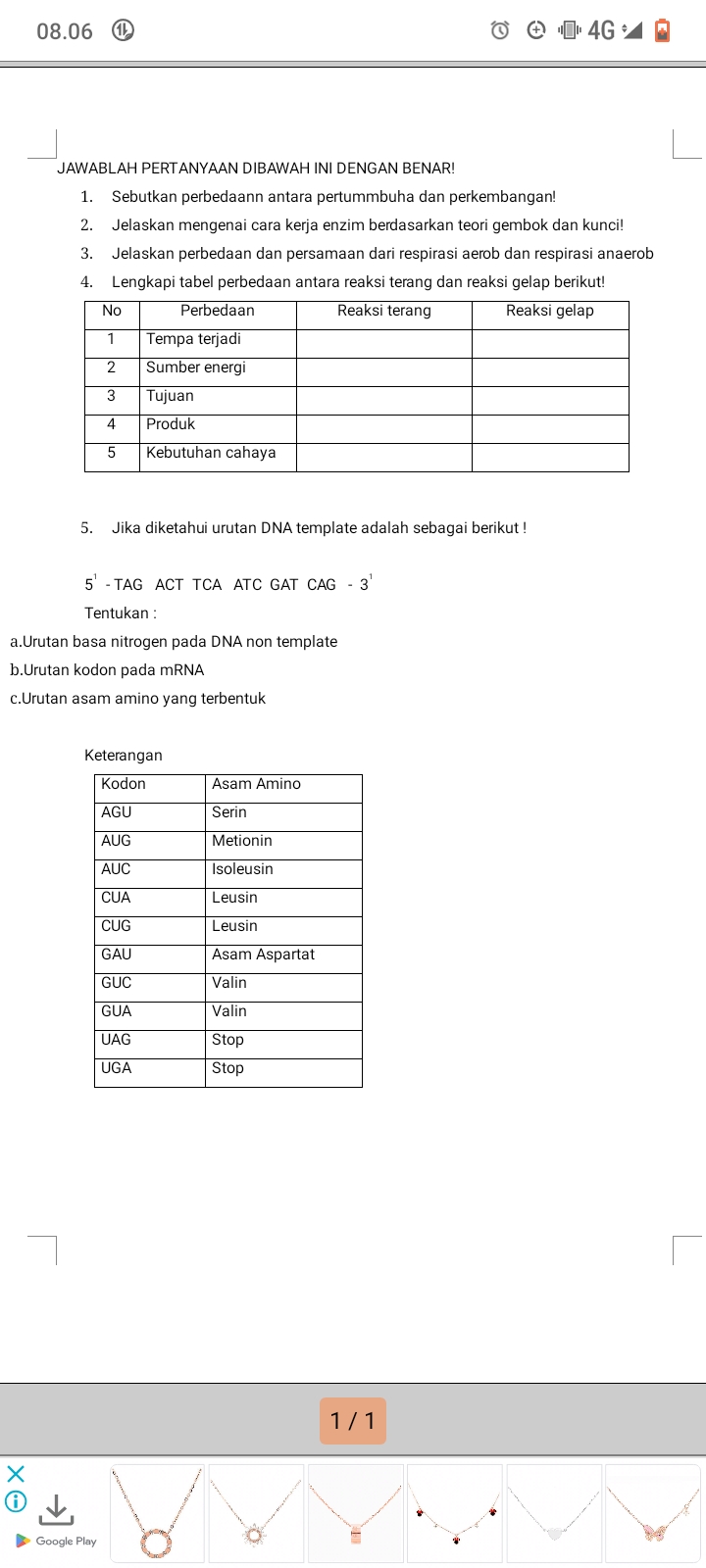 studyx-img