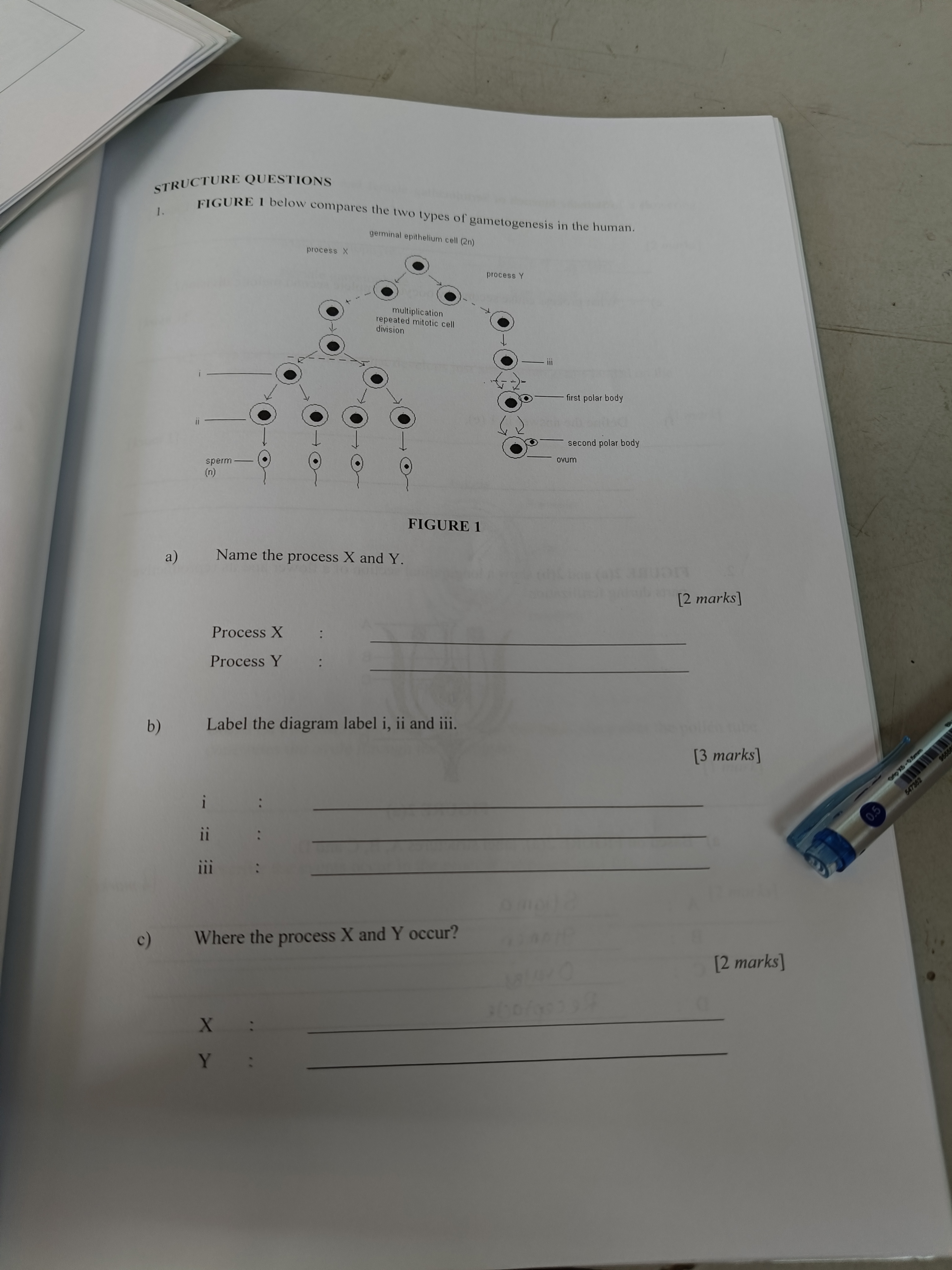 studyx-img