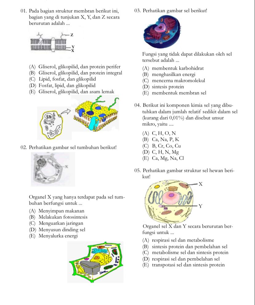 studyx-img