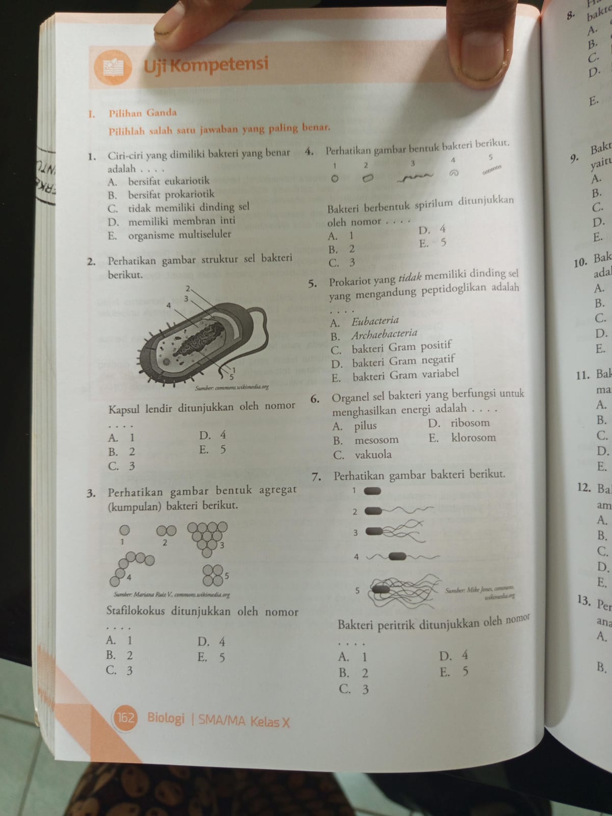 studyx-img