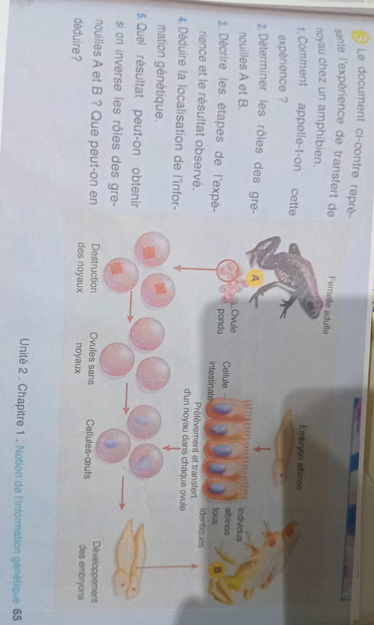 studyx-img