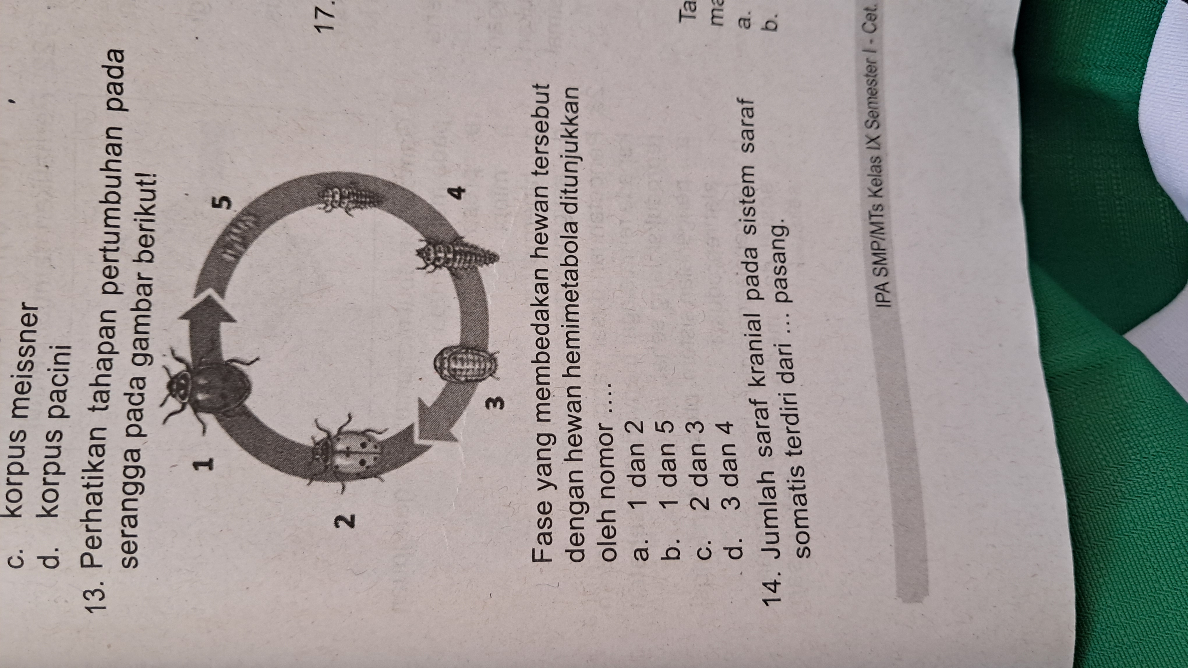 studyx-img