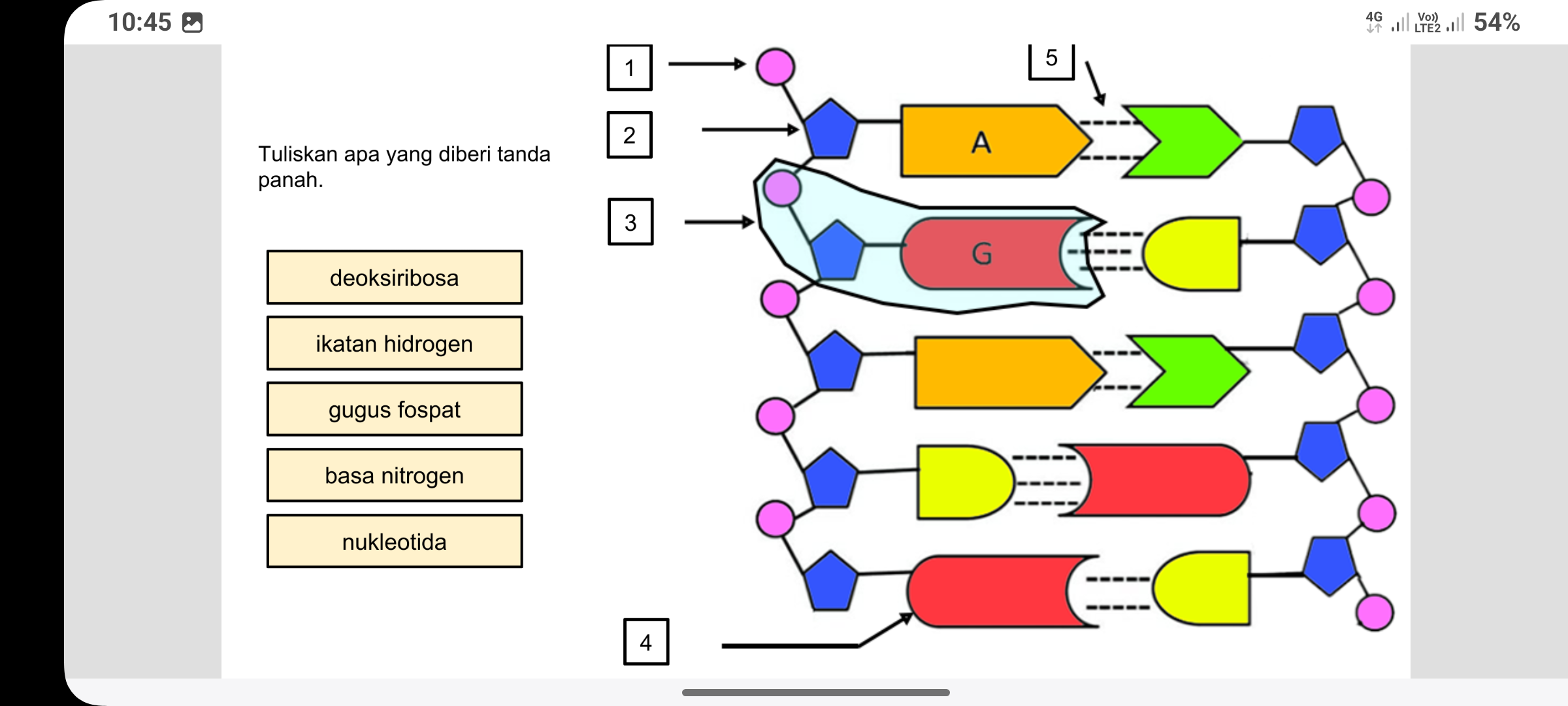 studyx-img