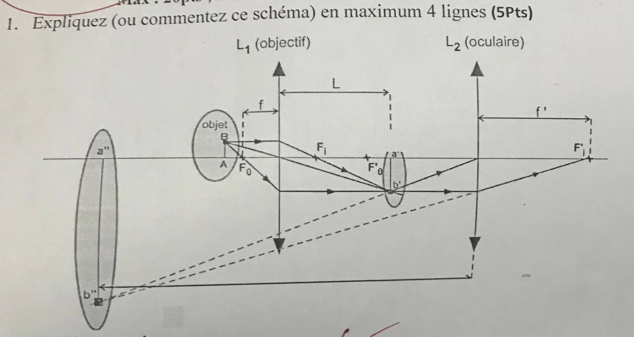 studyx-img