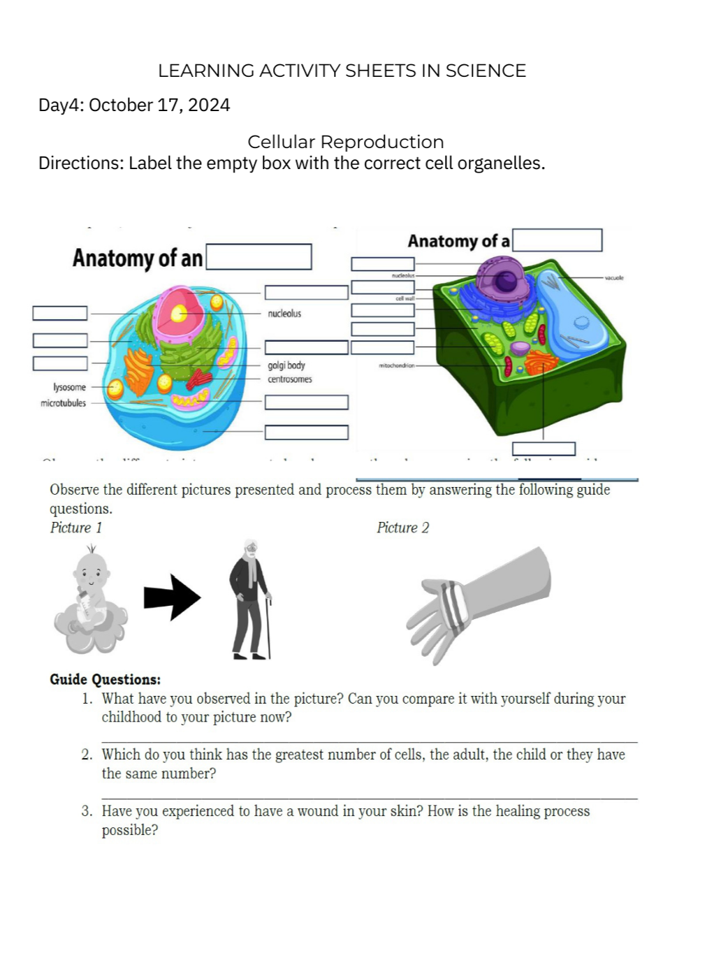 studyx-img