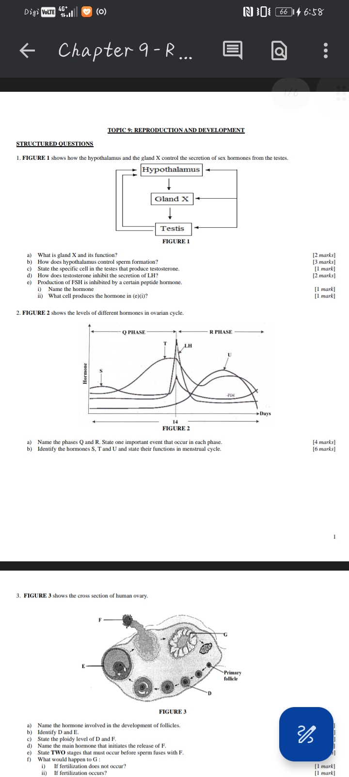 studyx-img