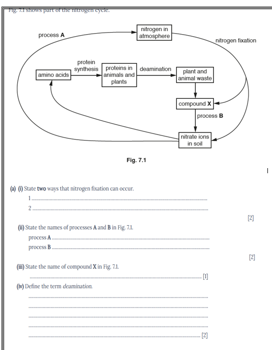 studyx-img