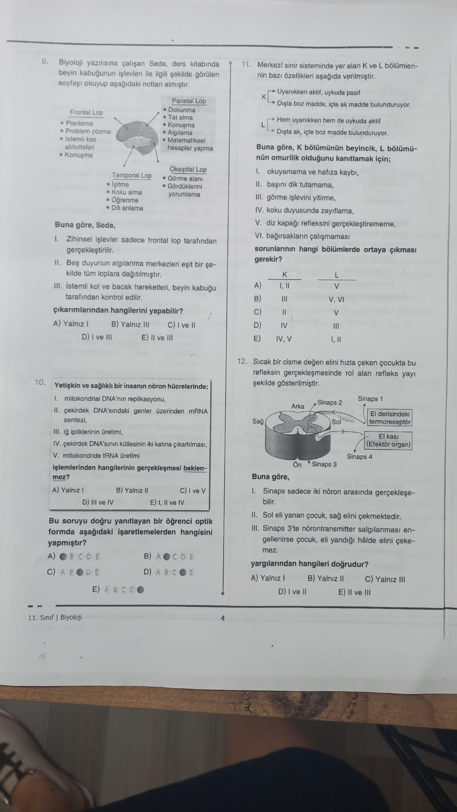 studyx-img