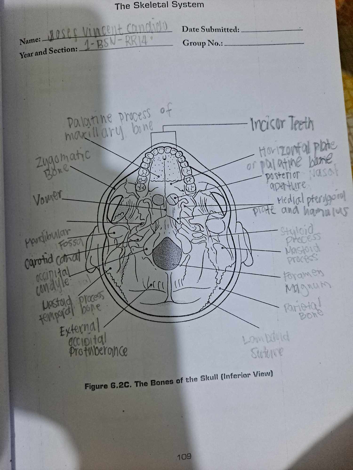 studyx-img