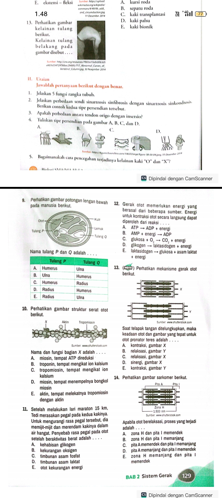 studyx-img