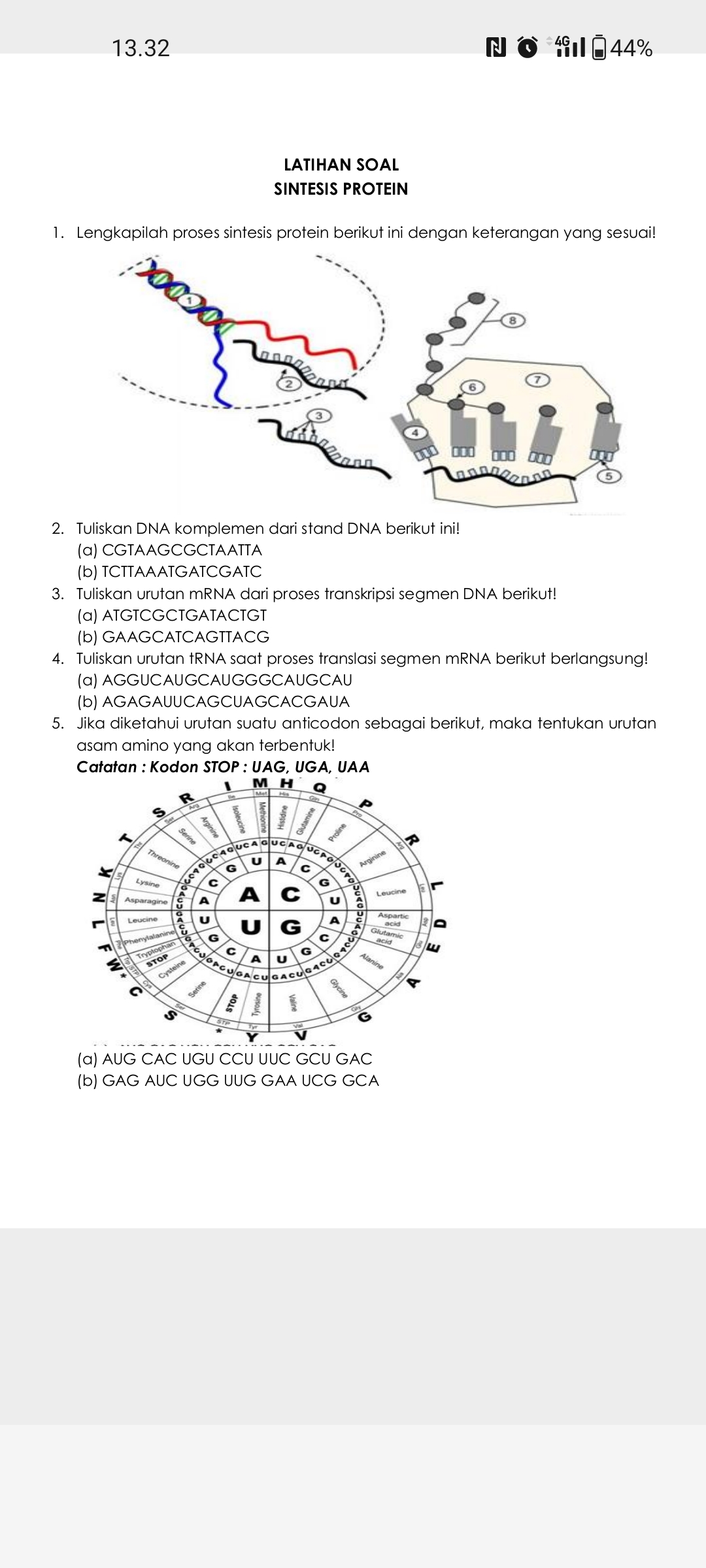 studyx-img