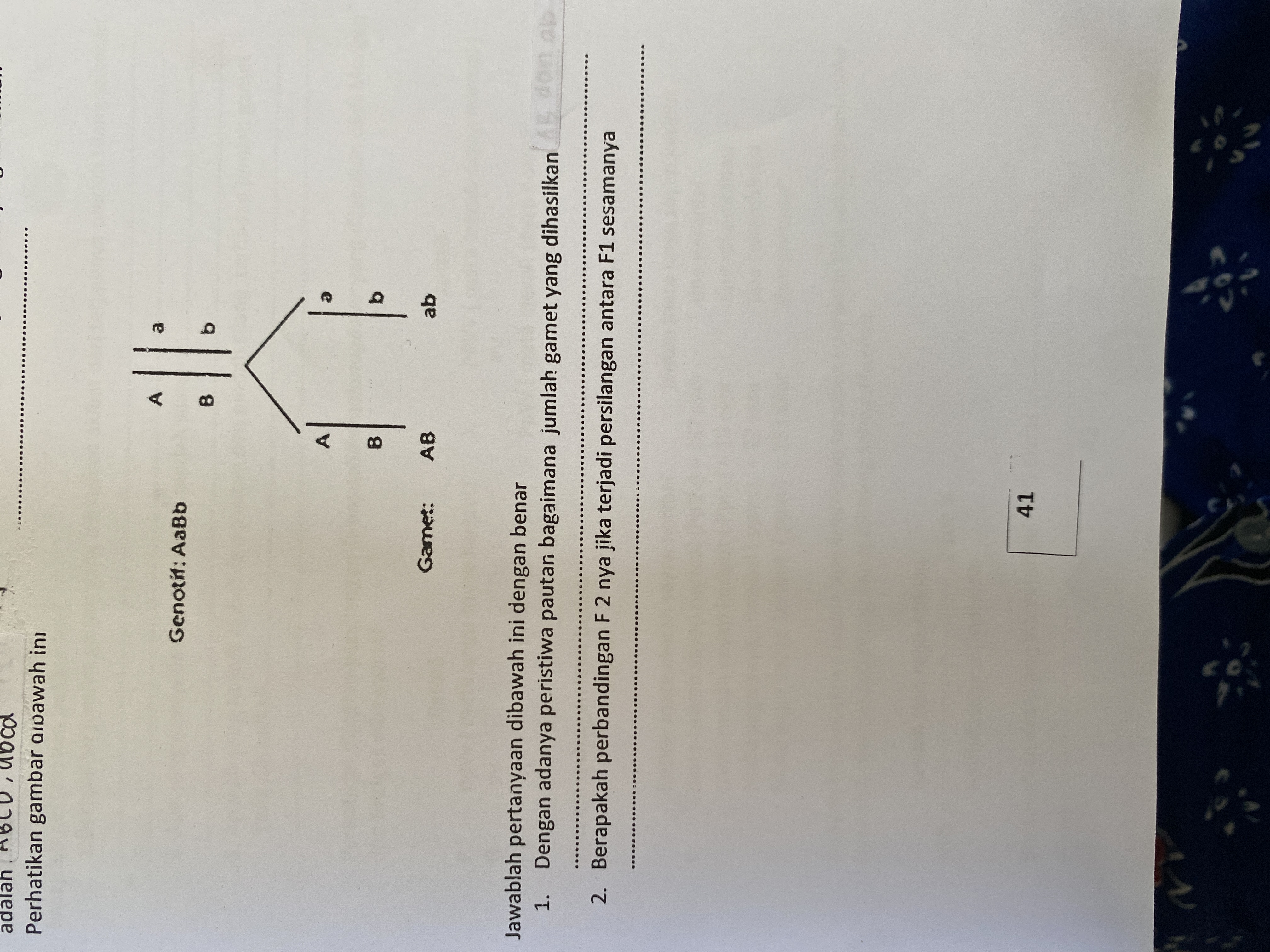 studyx-img