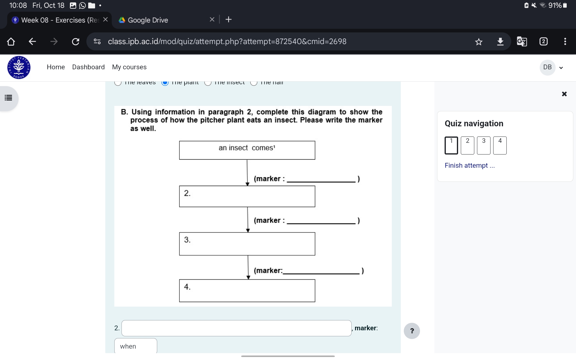 studyx-img