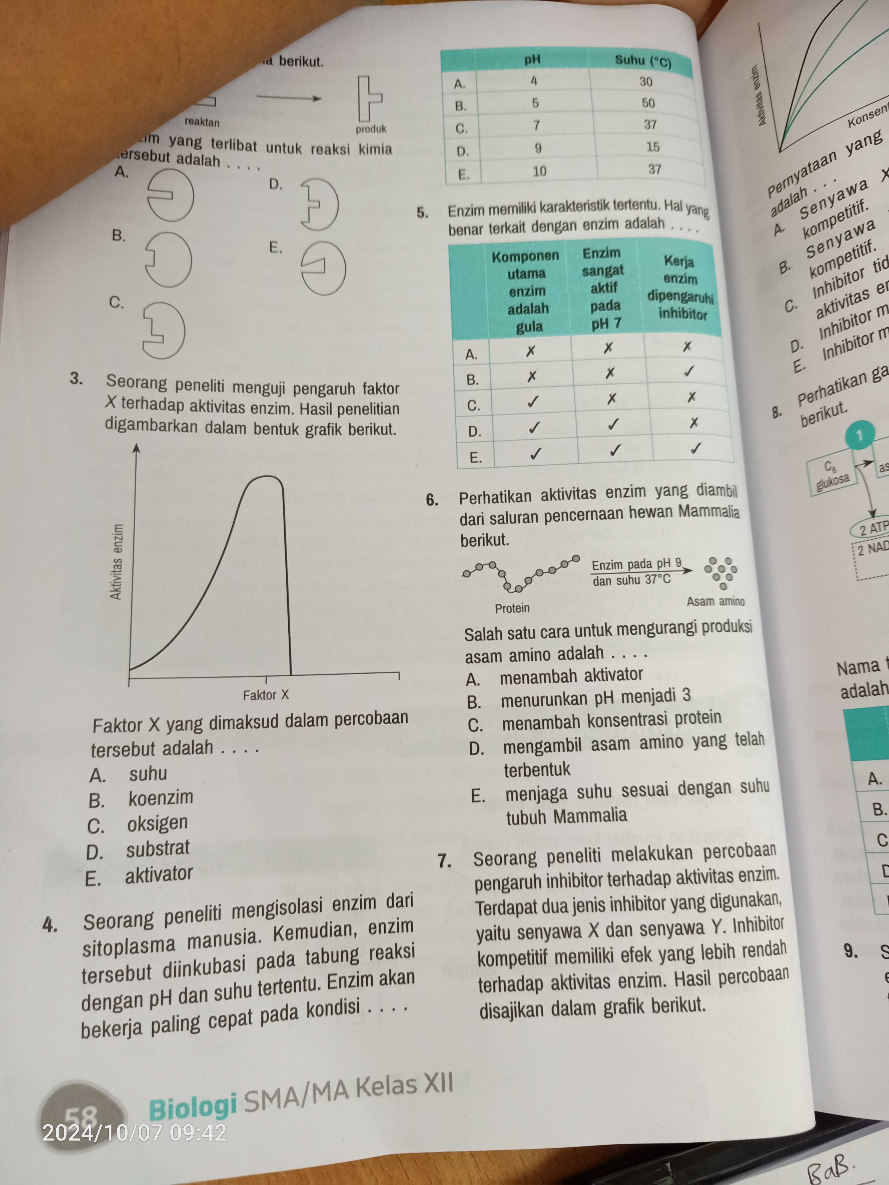 studyx-img