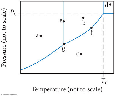 On the following phase diagram What phase s | StudyX