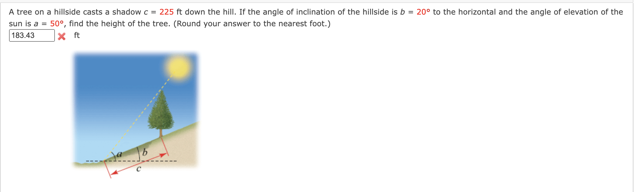 A tree on a hillside casts a shadow c=225 | StudyX