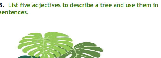 Adjactive Tree 3 List five adjectives to describe a tree | StudyX