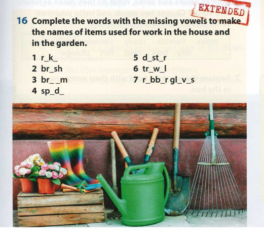 16 Complete the words with the missing | StudyX