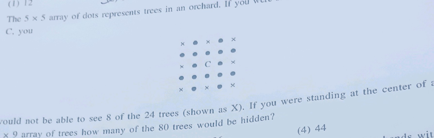 The 5 x 5 array of dots represents trees in