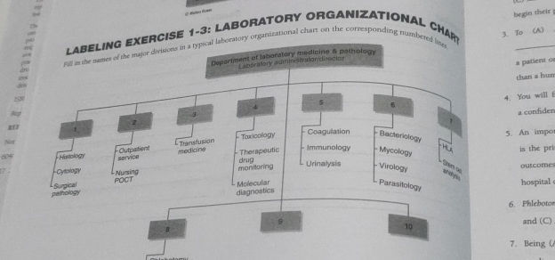 LABELING EXERCISE 1-3 LABORATORY | StudyX